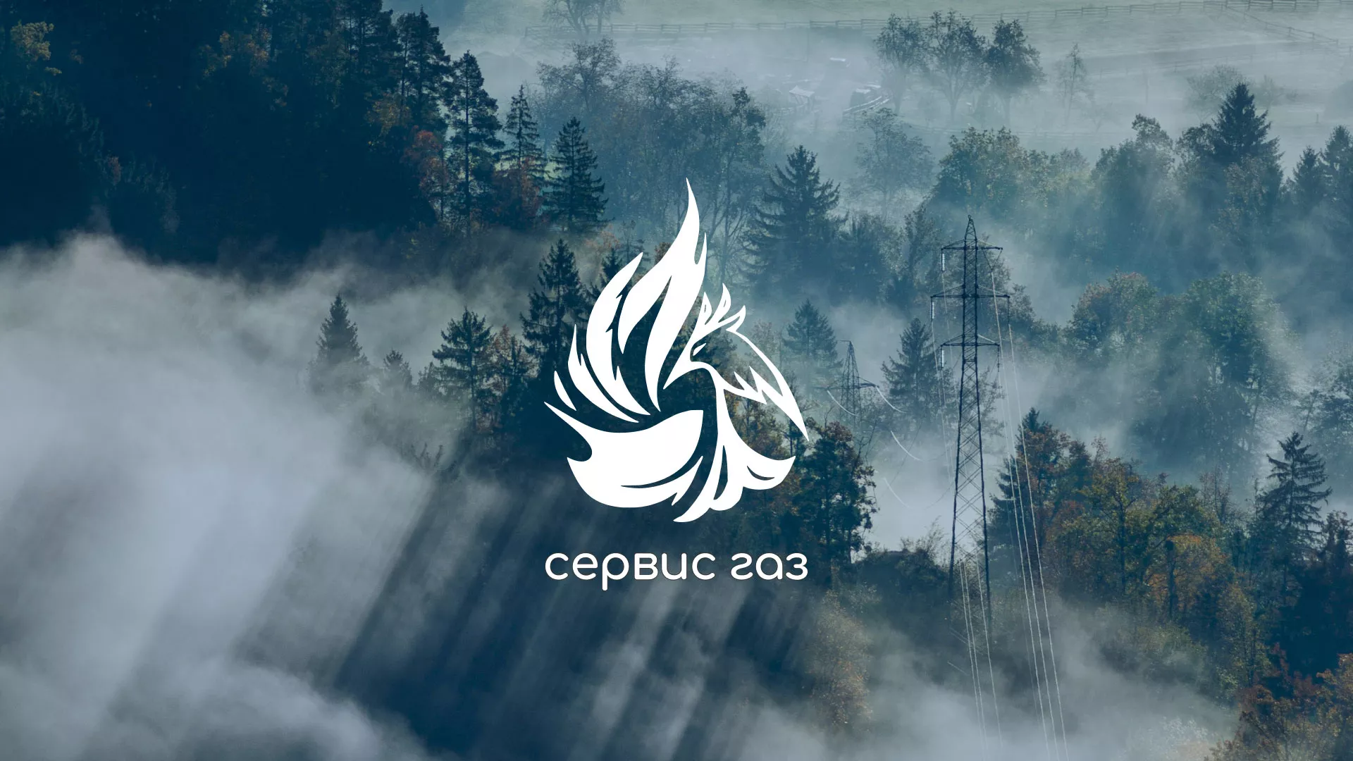 Создание сайта компании «Сервис газ» в Фрязино
