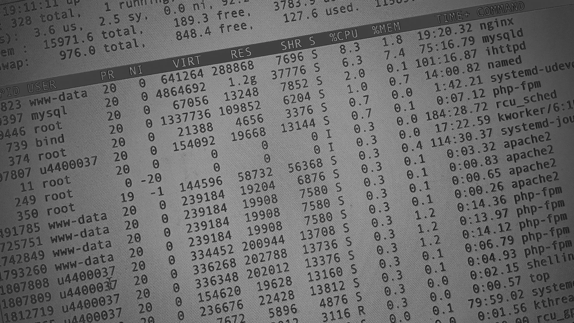 Настройка сервера в Фрязино