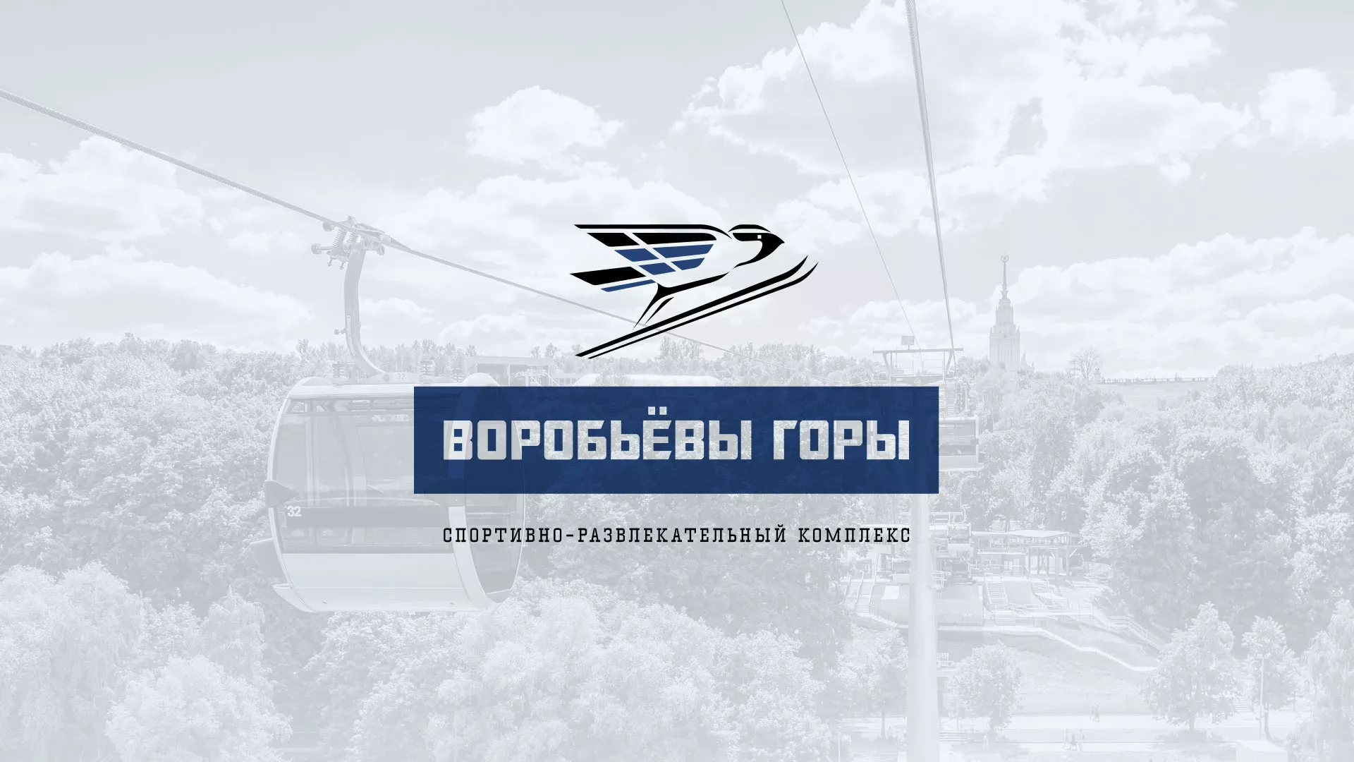 Разработка сайта в Фрязино для спортивно-развлекательного комплекса «Воробьёвы горы»