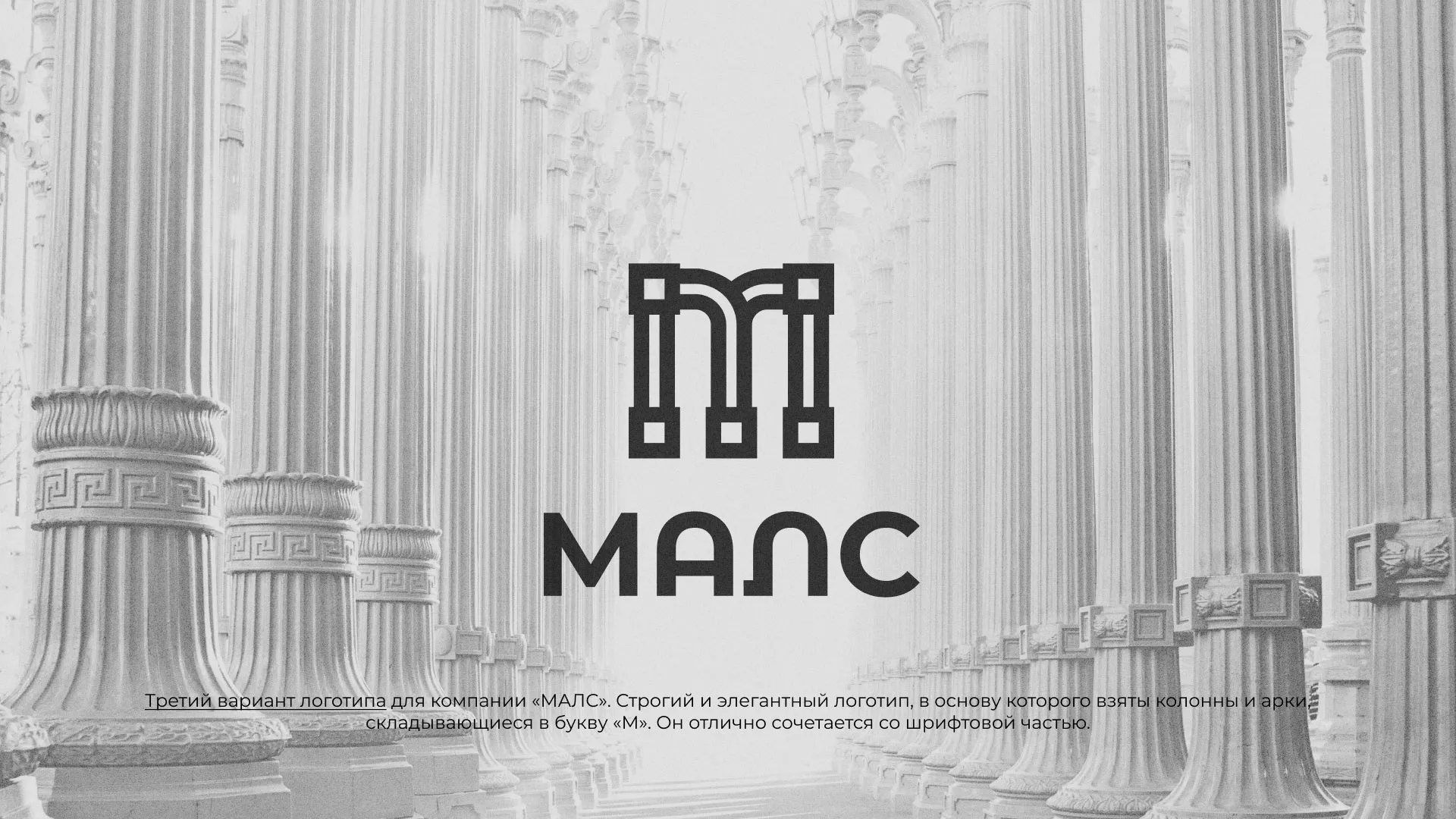 Разработка логотипа компании «МАЛС» в Фрязино