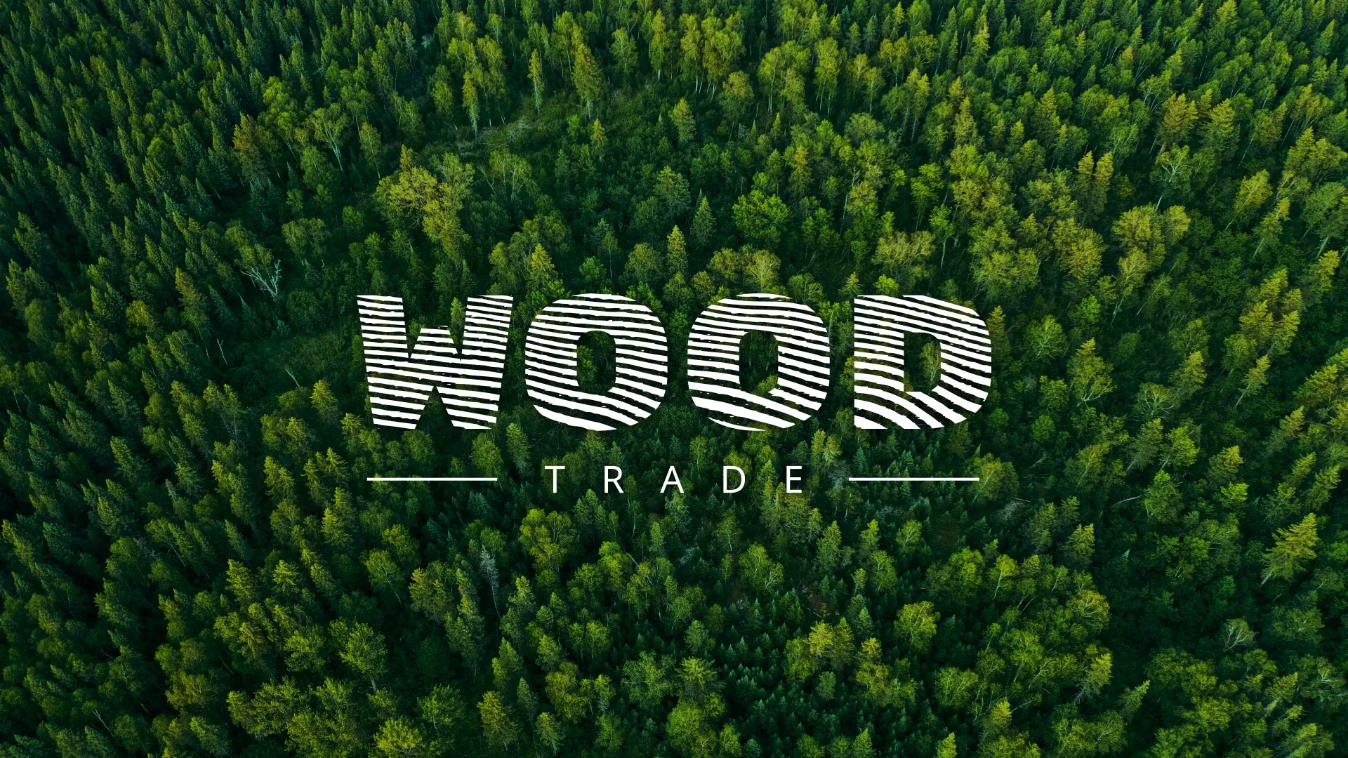 Разработка интернет-магазина компании «Wood Trade» в Фрязино